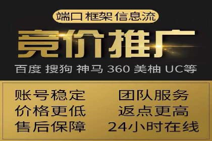 推广竞价策略解析：成功案例分享